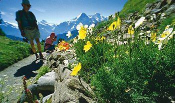 Hotel Schützen Lauterbrunnen